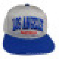 Gorra de béisbol con Snapback con logotipo SD1520